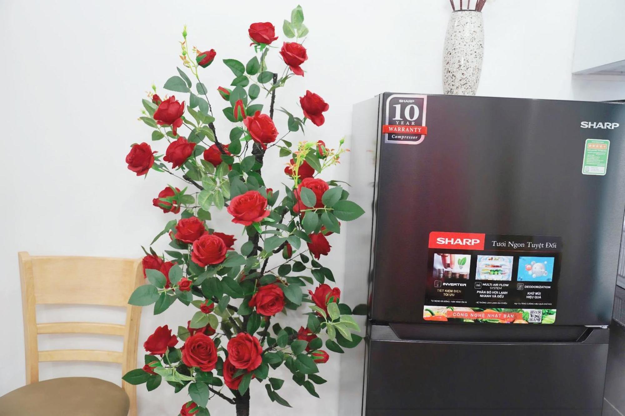 Căn hộ Trendy Loft 705tm1